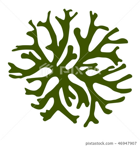 Seaweed Sea Crest (Milomon) Vector material 46947907
