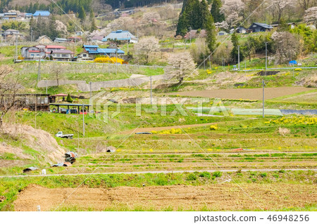 Spring rural landscape Spring rural landscape 46948256