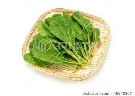 Njana Njana 46948507