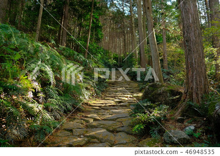 Kumano Kodo Magoshige Pass 46948535