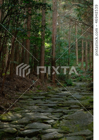 Kumano Kodo Magoshige Pass 46948539