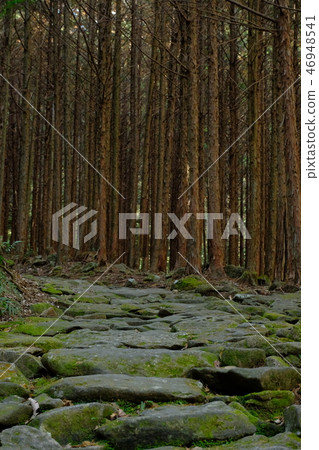 Kumano Kodo Magoshige Pass Kumano Kodo Magoshige Pass 46948541