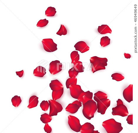 Falling red rose petals isolated on white background. Vector illustration 46949649