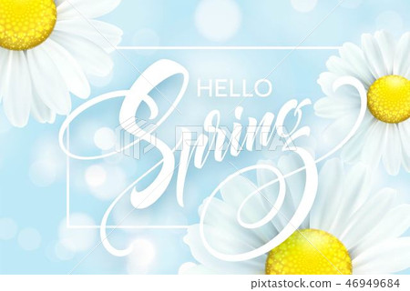 Daisy Flower Background and Hello Spring Lettering. Vector Illustration Daisy Flower Background and Hello Spring Lettering. Vector Illustration 46949684