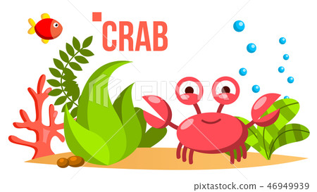 Crab Vector. Sea, Ocean Bottom With Seaweed And Fish. Isolated Flat Cartoon Illustration Crab Vector. Sea, Ocean Bottom With Seaweed And Fish. Isolated Flat Cartoon Illustration 46949939