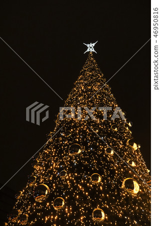 light of golden ball decoration on Christmas tree light of golden ball decoration on Christmas tree 46950816