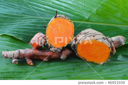 Turmeric 46951030