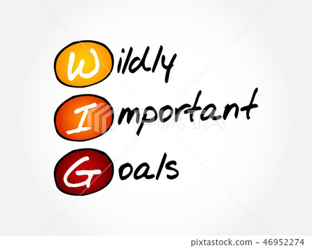 WIG Wildly Important Goals acronym Stock Illustration