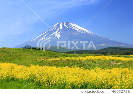 世界遺產富士山Rape靜岡縣 世界遺產富士山Rape靜岡縣 46952726