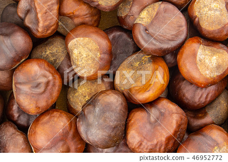 chestnut edible large brown fruit with sweet 46952772