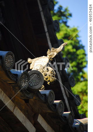 奈良/ Saigoku寺廟寺廟的屋頂裝飾第7個地方Okadera 奈良/ Saigoku寺廟寺廟的屋頂裝飾第7個地方Okadera 46953484