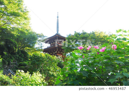 奈良寶塔和奧卡德拉神廟 奈良寶塔和奧卡德拉神廟 46953487