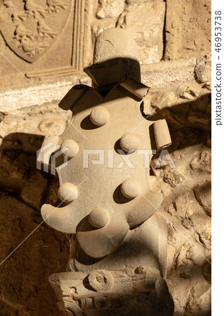 Coat of Arms of Medici family Dynasty of Florence 46953738