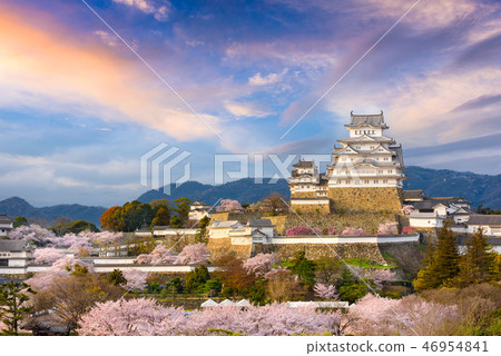 Himeji Castle, Japan in Spring Season 46954841