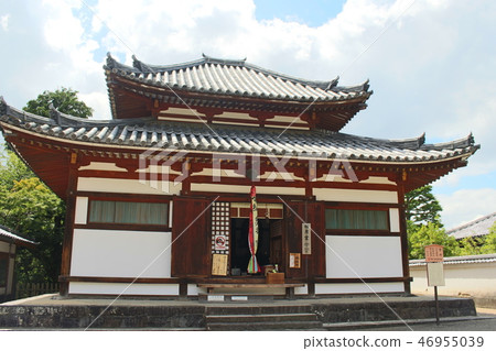 東大寺 46955039