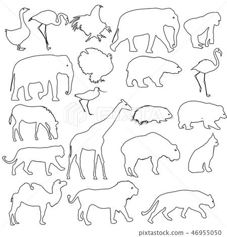Silhouette elephant bear eagle trot duck zebra Silhouette elephant bear eagle trot duck zebra 46955050