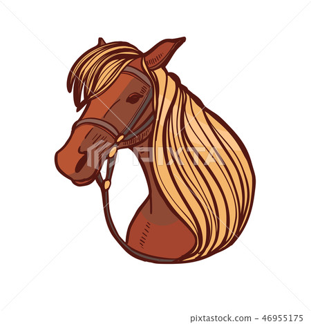 Colored Horse in Hand Drawn Style 46955175