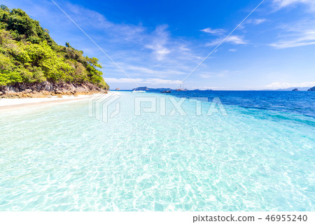 Tropical white sand beach Tropical white sand beach 46955240