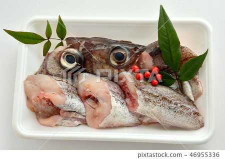 Alaska pollacker Alaska pollacker 46955336