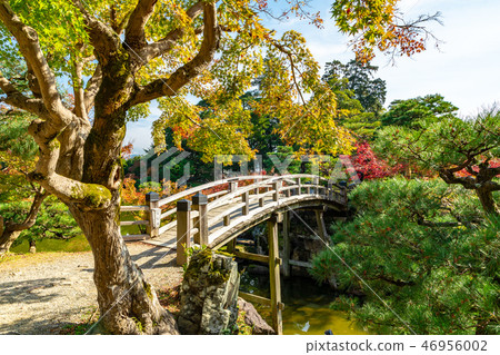 高橋和秋葉 高橋和秋葉 46956002