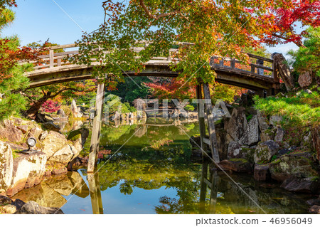 Takahashi Aki Genguen Rakuen Takahashi Aki Genguen Rakuen 46956049