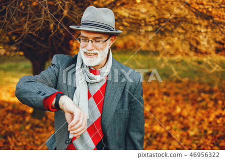 Elegant old man in a sunny autumn park  46956322