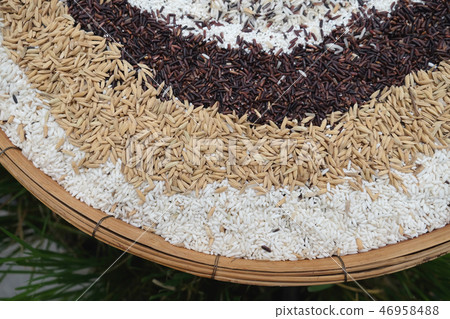 Jasmine rice, Mixed rice 46958488