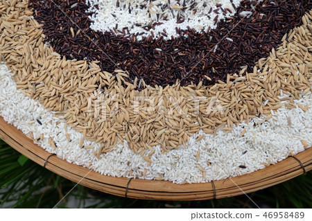 Jasmine rice, Mixed rice 46958489