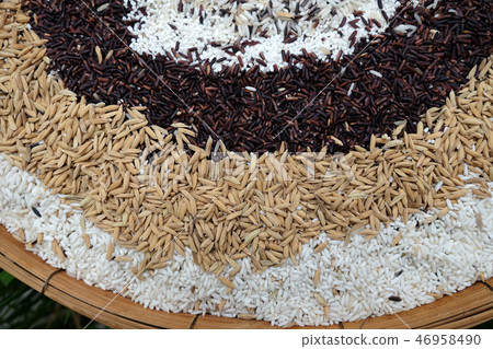 Jasmine rice, Mixed rice 46958490