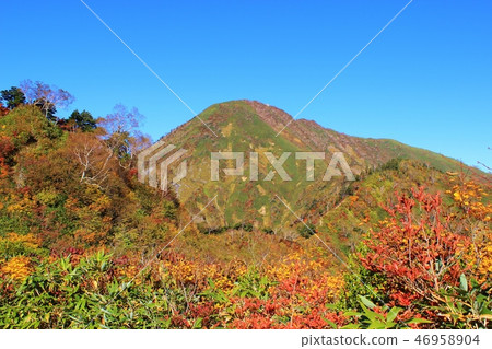 Takatsumayama of colored leaves 46958904