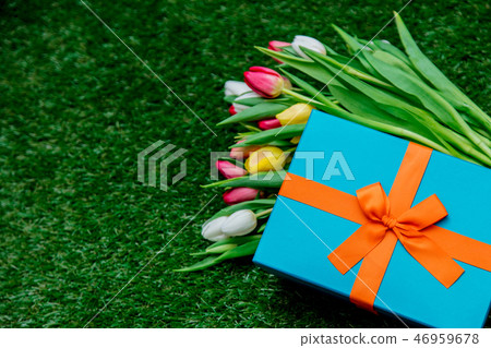 blue gift box and tulips on green grass lawn 46959678