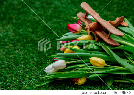 tulips and wooden airplane on green grass tulips and wooden airplane on green grass 46959680