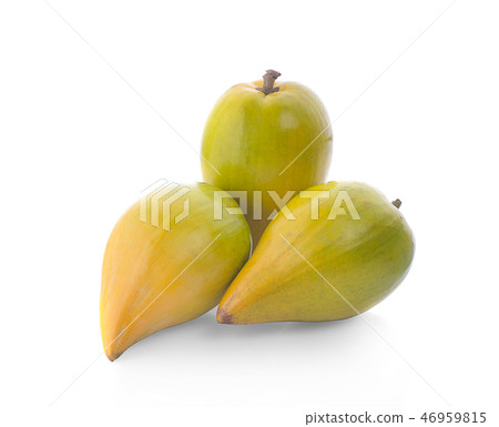 Pouteria campechiana isolated on the white  46959815