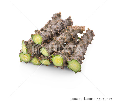 Tinospora cordifolia herb isolated on white Tinospora cordifolia herb isolated on white 46959846