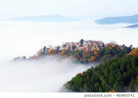 天堂城堡2147 天堂城堡2147 46960541