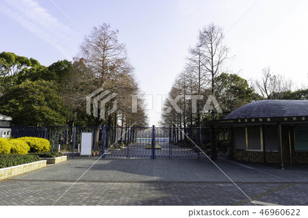 Osaka City Nagai Botanical Garden 46960622