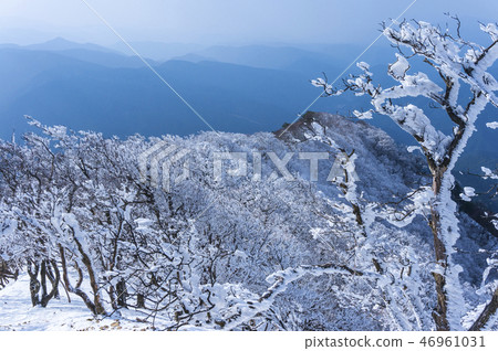 霧和冰上升的足跡 46961031