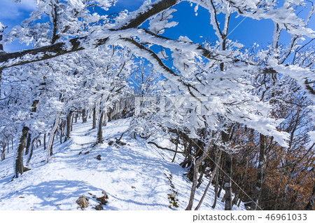 霧和冰上升的足跡 46961033