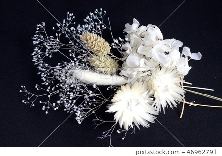 乾花乾燥標本集花白色白色白色 照片素材 圖片 圖庫