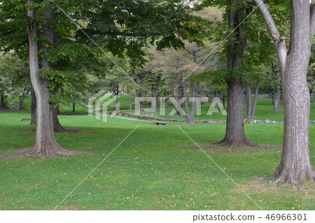 公園風光 46966301