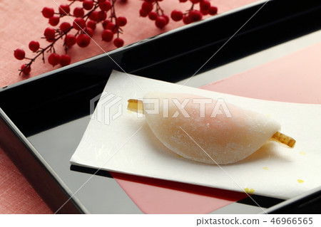 Petal Mochi Petal Mochi 46966565