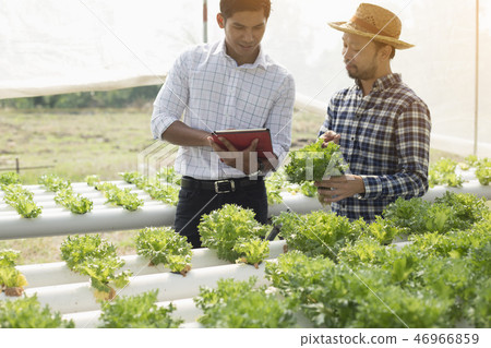 Asian farmers and consultants Asian farmers and consultants 46966859