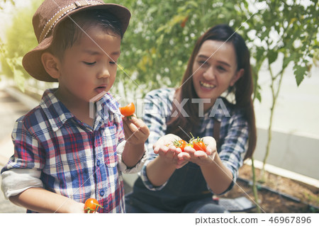 Asian boys are experimenting to eat tomatoes 46967896