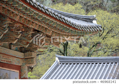 Eaves and roofs of traditional Korean architecture 46968141