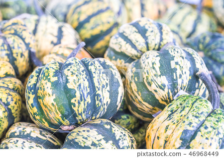 Bunch of green pumpkins for sale 46968449