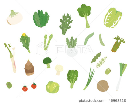 Spring seasonal vegetables illustration material Spring seasonal vegetables illustration material 46968818
