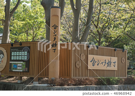 名古屋城堡Kinshachi Yokocho Yoshinao Zone 名古屋城堡Kinshachi Yokocho Yoshinao Zone 46968942