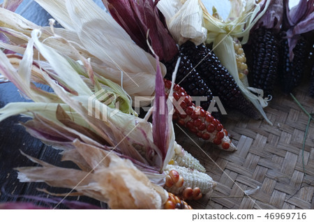 Colorful ears of dried corn at Thailand 46969716