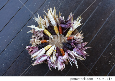 Colorful ears of dried corn at Thailand Colorful ears of dried corn at Thailand 46969717
