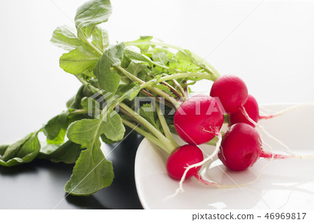 20th Japanese radish 46969817